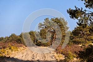 KozÃâow desert in Poland in Lower Silesia